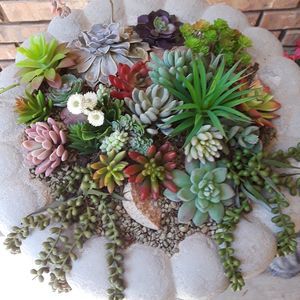 Meet your Posher, Patty